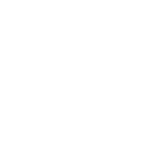 A white spanner icon from a bike mechanic toolkit